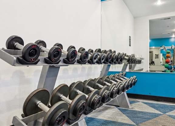 The Arts gym