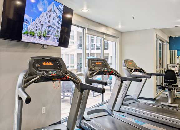 The Arts Gym