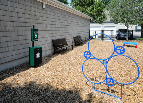 Dog park with fence and agility obstacles