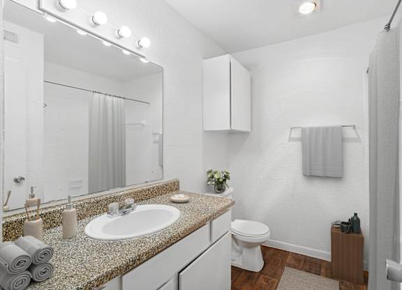 A bathroom with a sink, toilet, and a mirror.