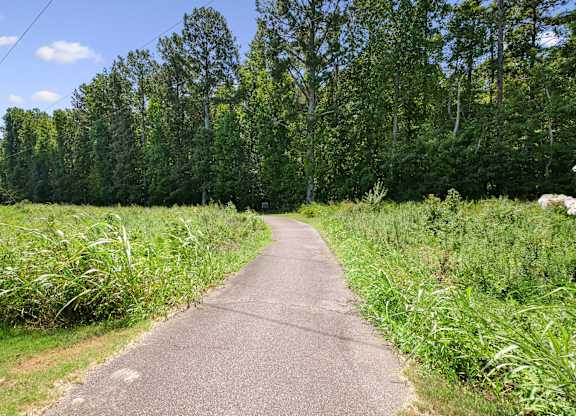 A pathway surrounded by greenery and trees.