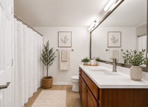 A bathroom with a white sink and wood cabinets at St Moritz in Dallas Texas