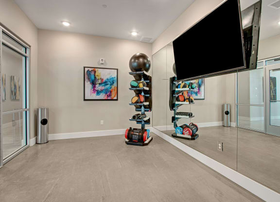Ritz Classic Yoga and Stretching Room, Weidner Real Estate Properties