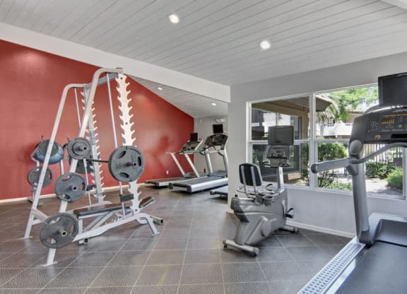 Bright gym interior here at Desert Horizon Apartments with red accent wall, featuring a weight rack, treadmills, and stationary bike. Large windows provide an open, airy feel.