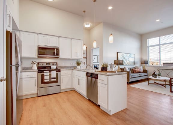 Ritz Classic 2 Bedroom Kitchen and Living Room