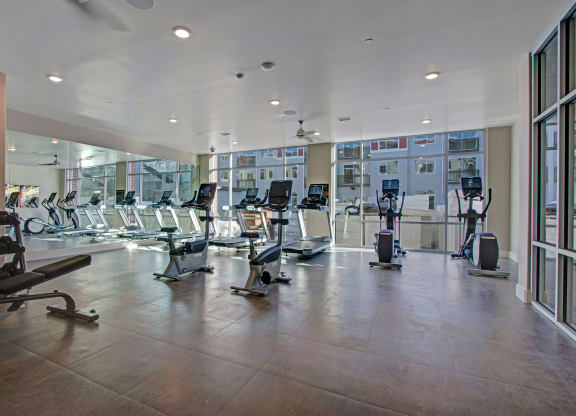 Ritz Classic Fitness Center with Cardio Machines, Weidner Real Estate Properties
