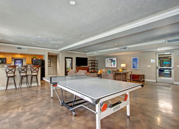 Bridges - ping pong table, Dean Weidner Investments