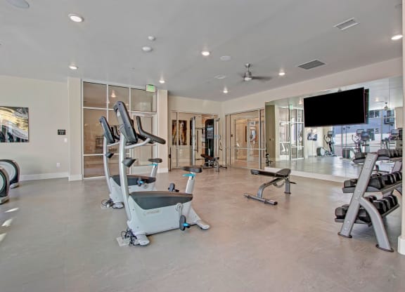 Ritz Classic Fitness Center with Free Weights
