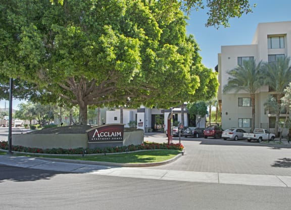 Sunny entrance of Acclaim Apartment Homes, featuring a large, lush tree, manicured landscaping, and parked cars near modern beige buildings.