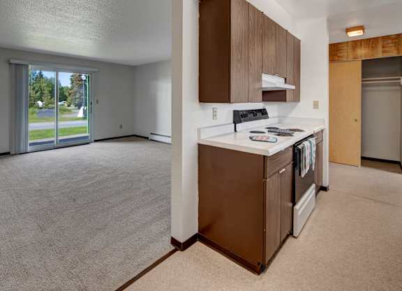 A bright open layout at Bay Arms Apartments showing a spacious living room with plush carpet and a sliding glass door that opens to a grassy outdoor area. The adjoining kitchen features wood cabinets, countertops, and a stovetop, creating a practical cooking and dining flow.