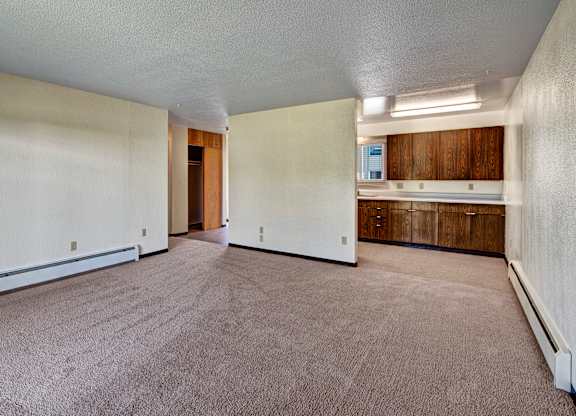 A spacious living area at Bay Arms Apartments with plush carpet and neutral walls. The open layout leads into the kitchen, which features wood cabinets and a long countertop. A hallway and closet space sit nearby, offering functional storage and room flexibility.