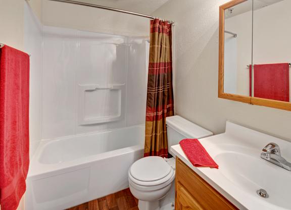 A clean, functional bathroom here at College View featuring a full tub and shower combination with built-in shelving, a bright vanity with wood cabinetry, and a mirrored medicine cabinet. Neutral walls, easy-care flooring, and coordinated fixtures create a practical, well-lit space designed for everyday comfort and convenience.