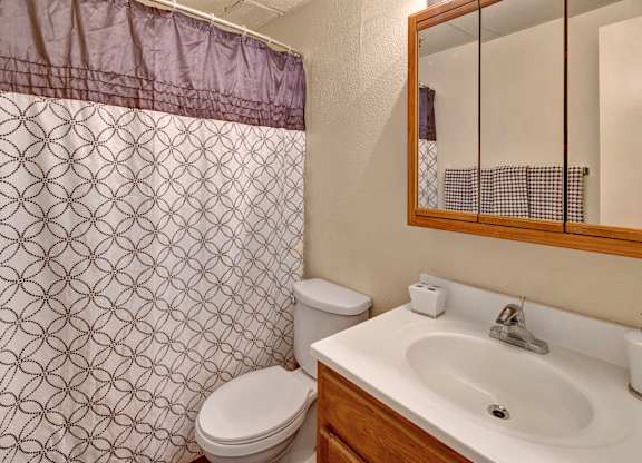 A clean bathroom here at College View featuring a full tub and shower combination with a patterned shower curtain, a bright vanity with ample counter space, and a mirrored medicine cabinet for added storage. Neutral wall tones, durable flooring, and simple fixtures create a functional, comfortable space designed for everyday convenience.