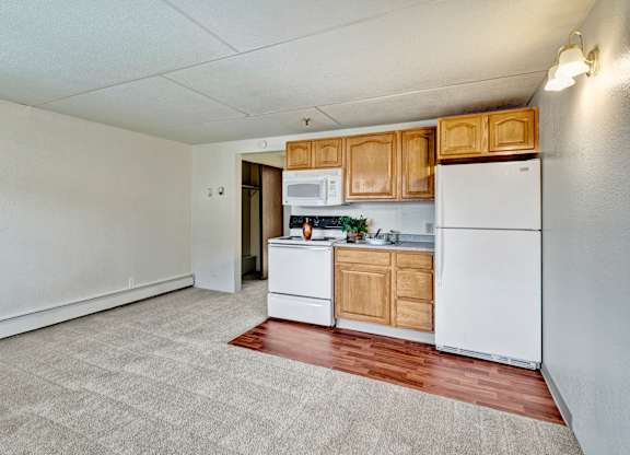 A welcoming open living space here at College View featuring soft carpet flooring, neutral wall tones, and an efficient kitchen area with wood cabinetry, white appliances, and durable vinyl flooring. The open layout allows for easy furniture placement, natural flow between living and kitchen areas, and comfortable everyday living.