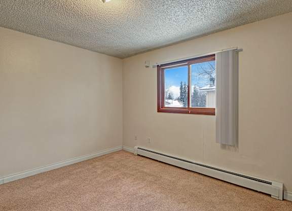 Bright bedroom here at Conifer Grove featuring plush carpet flooring, soft neutral walls, and a large window that allows natural light and outdoor views to fill the space. The room offers a simple, flexible layout with baseboard heating, making it easy to arrange a bed, dresser, or workspace for a comfortable and functional retreat.