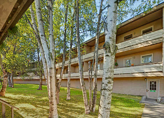 A peaceful exterior view here at Country Lane showcasing a three-story apartment building surrounded by mature birch trees, private balconies, covered walkways, and a grassy courtyard with pedestrian access on a bright, sunny day.