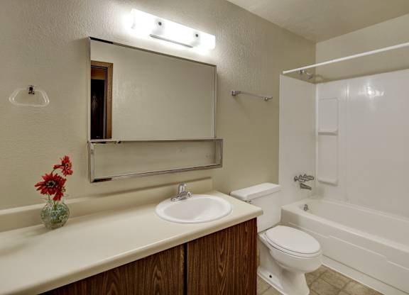 A clean bathroom here at Deer Park featuring a full tub and shower combination with built-in shelving, a single-sink vanity with ample counter space, and a large mirrored medicine cabinet. Neutral finishes, bright overhead lighting, and durable flooring create a functional and well-lit space for daily routines.