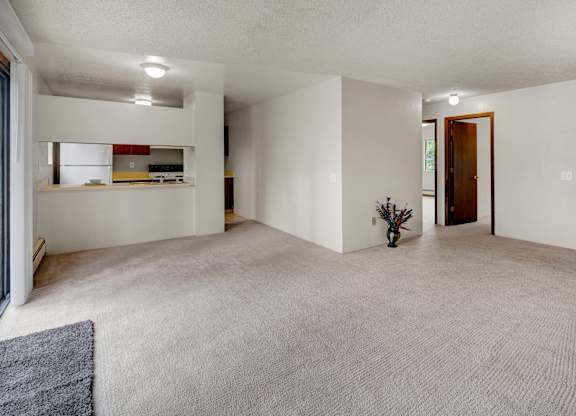 Spacious living room here at Deer Park featuring wall-to-wall carpet, soft neutral walls, and an open layout with a passthrough window to the kitchen. The room offers flexible furniture placement, overhead lighting, and easy access to nearby bedrooms, creating a bright and functional living space.