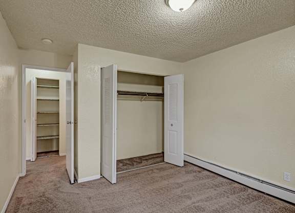 A room with a carpeted floor and two open closets.