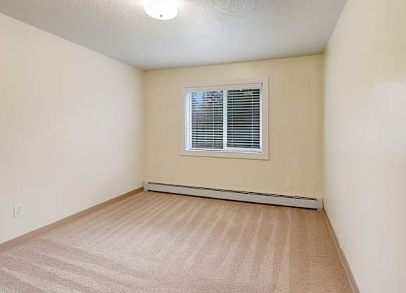 A room with a carpeted floor and a window with blinds.