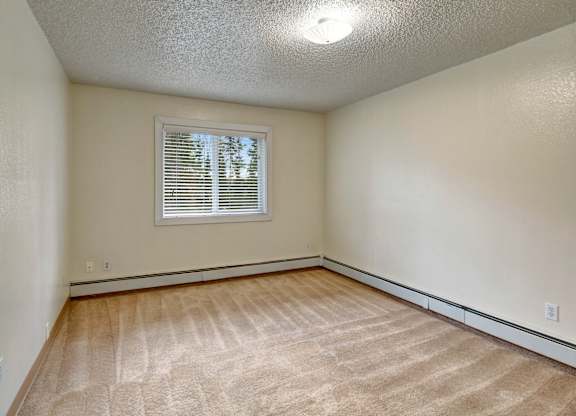 A room with a window and carpeted floor.