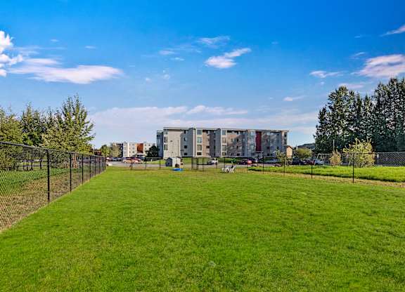 Large fenced dog park at The Alpine with expansive green lawn, surrounded by black chain-link fencing under a bright blue sky. Community buildings and parked cars are visible in the distance, along with mature trees lining the edge of the property, creating a spacious outdoor area for pets to play and exercise.