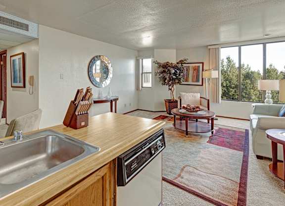 An open living space at The Alpine viewed from the kitchen, featuring a double sink and countertop leading into a bright carpeted living room. A sofa and chair sit around a coffee table on a colorful rug, with large windows bringing in natural light and treetop views.