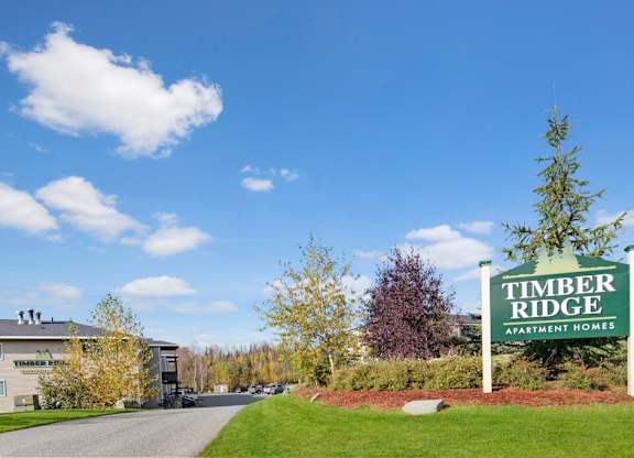 A bright community entrance view here at Timber Ridge featuring the Timber Ridge Apartment Homes sign surrounded by green landscaping, with a paved driveway leading into the property under a clear blue sky.