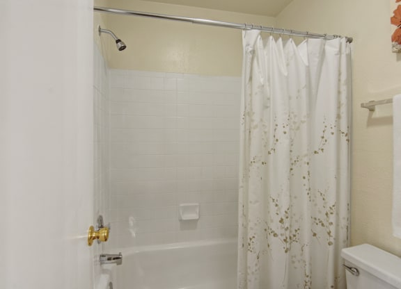 Bathroom tub and shower