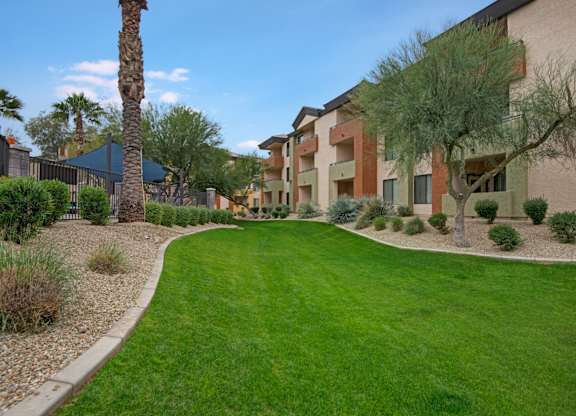 A grassy area in front of a building with a palm tree.