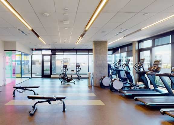 A contemporary fitness center here at JOY on 4th featuring floor-to-ceiling windows with expansive city views, rows of treadmills and cardio machines, free weights with a full dumbbell rack, adjustable benches, and dedicated space for strength training. Sleek lighting, rubber flooring, and mirrored walls create an energizing, modern workout environment.
