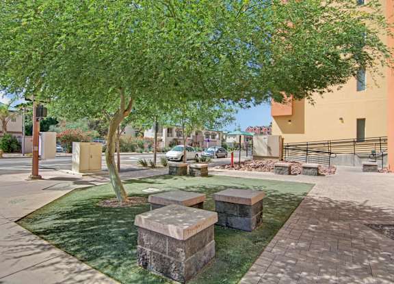 A tree with green leaves is in the middle of a grassy area.