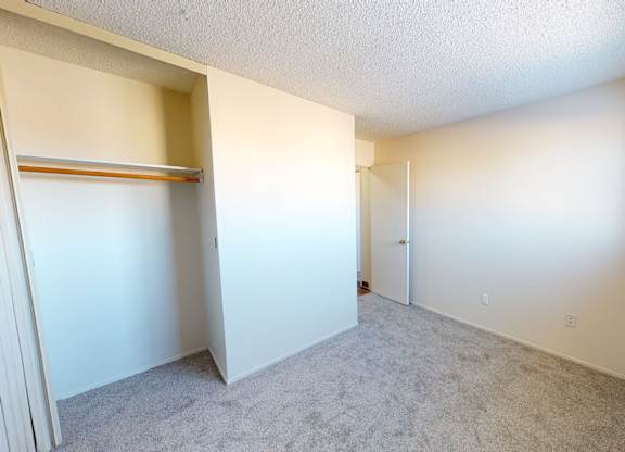A bright bedroom at Lakewood Heights with soft carpet, neutral walls, an open closet with shelving, and a large window that brings in natural light for a comfortable, easy-to-furnish layout.