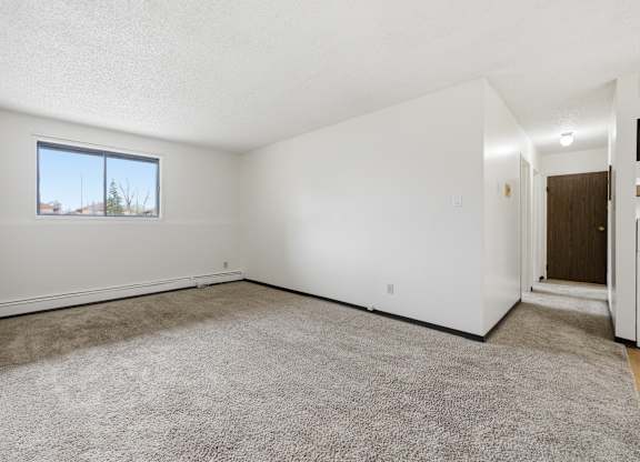 A room with a carpeted floor and a window.