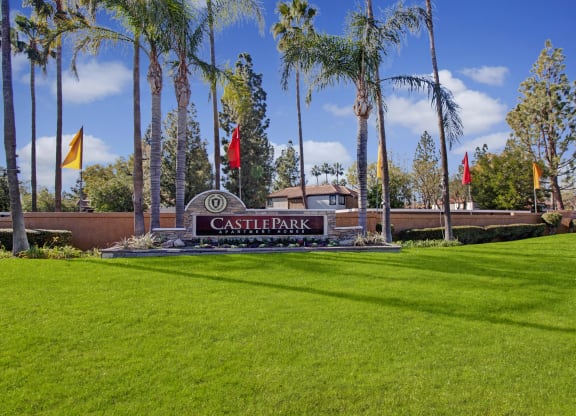 Lush green lawn with tall palm trees and colorful flags surrounds a "Castle Park Apartment Homes" sign. Clear blue sky adds a welcoming feel.