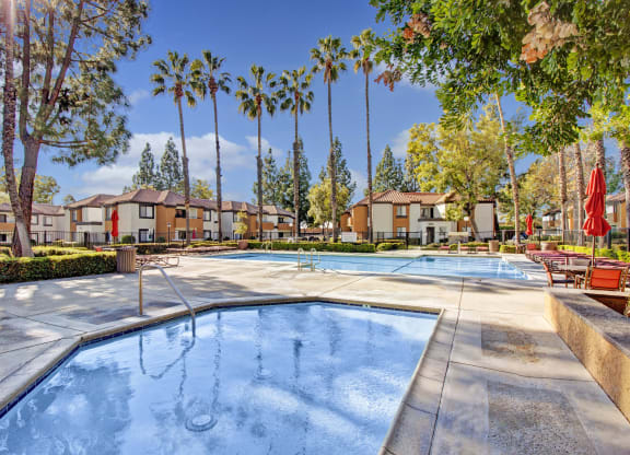 A tranquil swimming pool area here at Castlepark Apartment Homes with a jacuzzi in the foreground, surrounded by tall palm trees and apartment buildings under a clear, sunny sky.