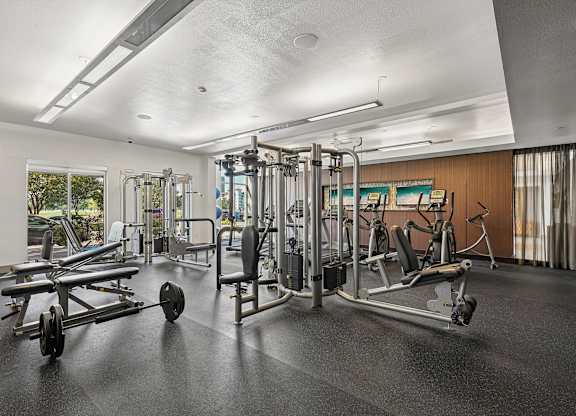 A gym with a variety of equipment including a leg press machine, a chest press machine, and a squat rack.