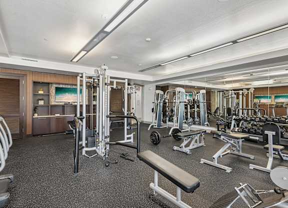 A gym with a variety of equipment including treadmills, weights, and benches.