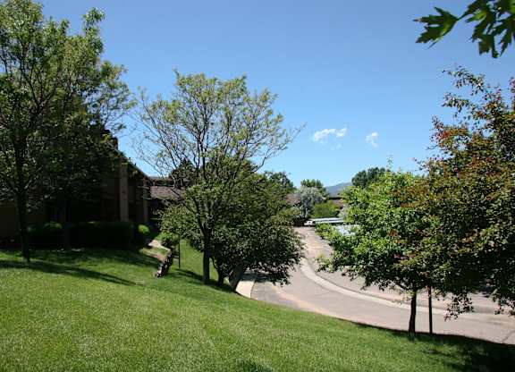 A landscaped hillside here at Windtree showcasing a gently sloping green lawn with mature leafy trees, trimmed shrubs, and a curved residential roadway below, with apartment buildings partially visible to the left and distant mountain views framed by a clear blue sky on a bright day.