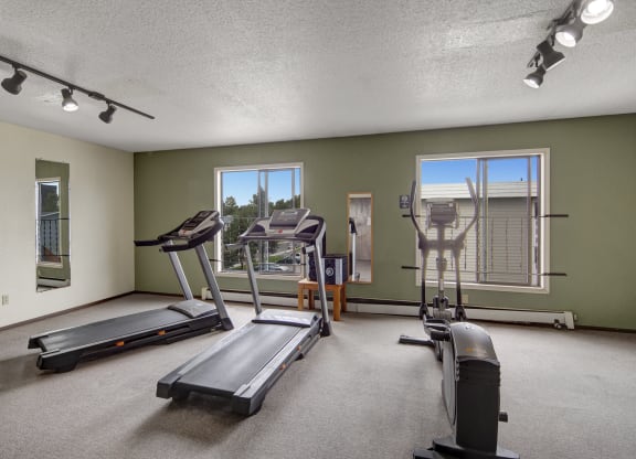 A small gym here at The Continental Apartments with two treadmills and an elliptical machine on a carpeted floor. Large windows and mirrors provide natural light and reflection.