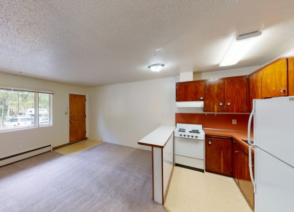 Cozy apartment interior here at Country Lane Apartments with carpeted living area, large window, and compact kitchen. Kitchen features wood cabinets, white appliances, and orange accents.
