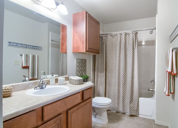the enclave at homecoming terra vista bathroom
