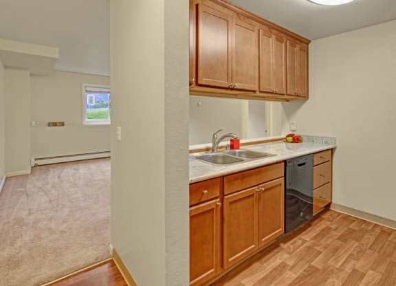 Compact kitchen here at Hillside Chalet Apartments with wooden cabinets, granite countertop, and stainless steel dishwasher. Adjacent carpeted living area with window, offering a cozy atmosphere.