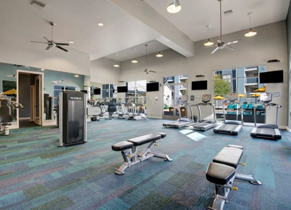 Spacious gym here at Rio Paradiso Apartments with exercise machines, treadmills, and benches on colorful carpet. Brightly lit with large windows, mirrors, and modern decor.