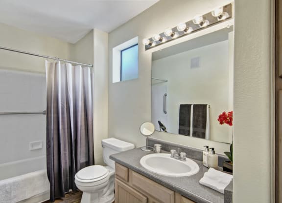Modern bathroom here at Mirador with a large mirror, illuminated by six-bulb lighting above. Features a granite countertop, white sink, and a small red orchid plant. A gray ombre shower curtain partially conceals a bathtub.