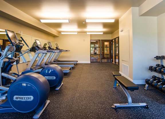 A gym with a variety of equipment including treadmills, dumbbells, and a bench.