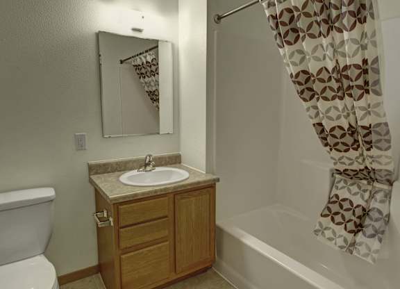 A bathroom with a toilet, sink, and shower curtain.