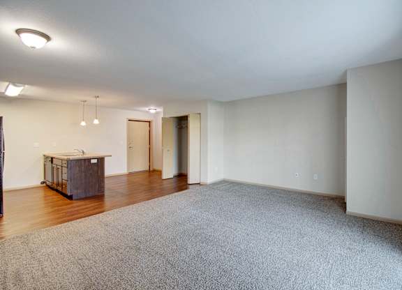 A large, empty room with a grey carpet and a wooden cabinet.