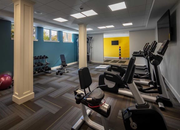 Compact gym with stationary bikes, a row of dumbbells, exercise balls, and a weight machine at the Oaks of Shorewood Apartments. Walls are blue and yellow, creating a vibrant, energetic tone.