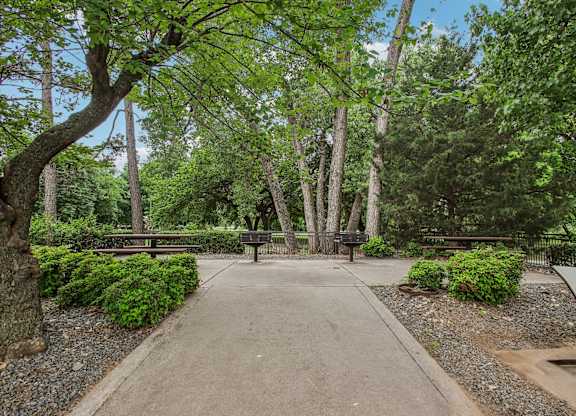 A park with a bench and a tree.
